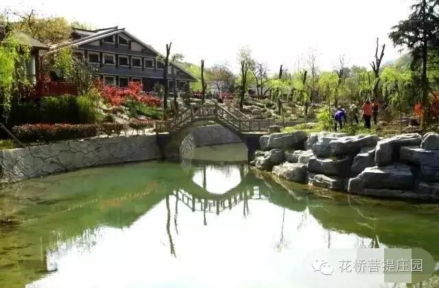 這個(gè)周末，隴南康縣花橋有大事要發(fā)生？