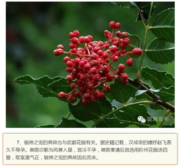 蘭渝鐵路最早由孫中山先生提出？在隴南，你不知道的事兒還有……