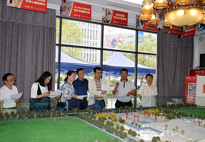 省、市聯(lián)合工作組蒞臨階州廣場檢查指導(dǎo)工作