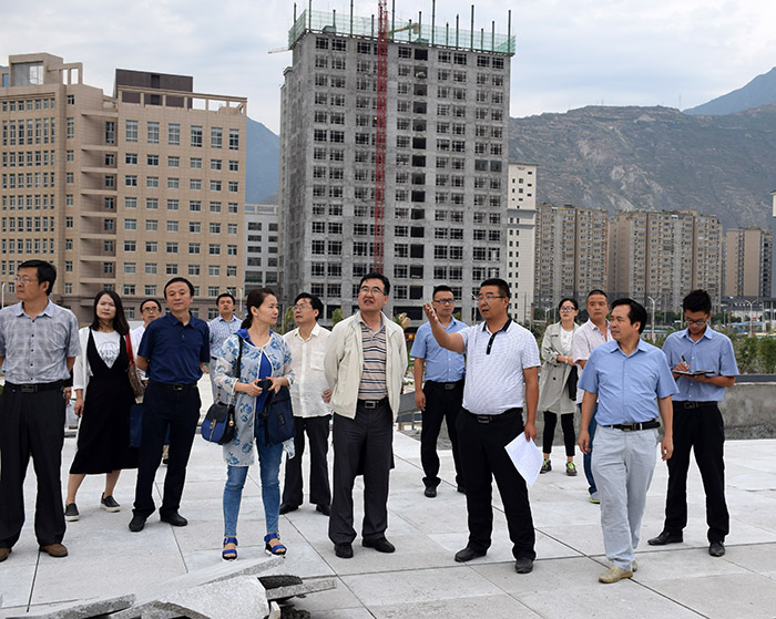 省、市聯(lián)合工作組蒞臨階州廣場檢查指導(dǎo)工作