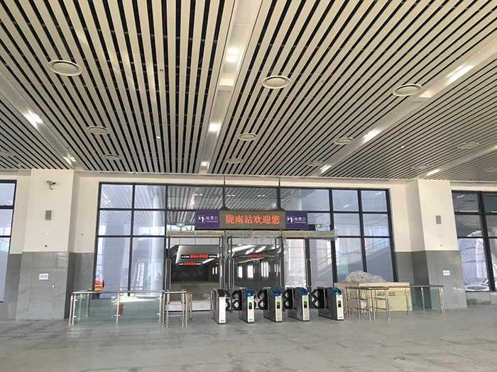 全國、省市政協(xié)委員體驗(yàn)蘭渝鐵路、視察階州廣場