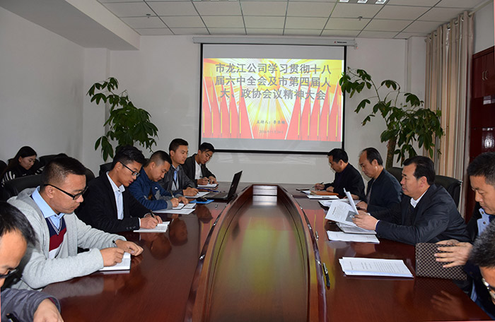 市龍江公司召開全體員工大會，專題傳達(dá)學(xué)習(xí)上級會議精神