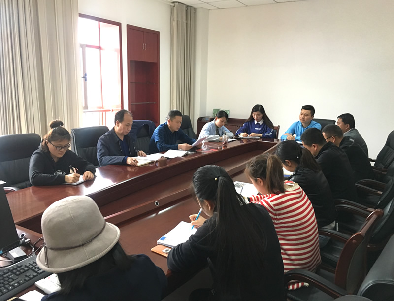 市龍江城鄉(xiāng)發(fā)展集團專題學(xué)習(xí)近期中央、省、市紀律檢查委員會議精神