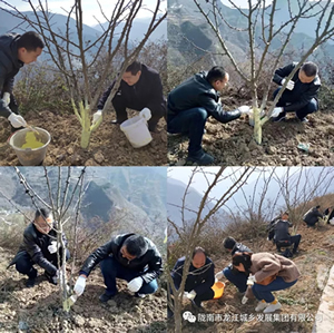 市龍江集團(tuán)在文縣橋頭鎮(zhèn)安子坡村開(kāi)展“解難題、辦實(shí)事、送溫暖”活動(dòng)