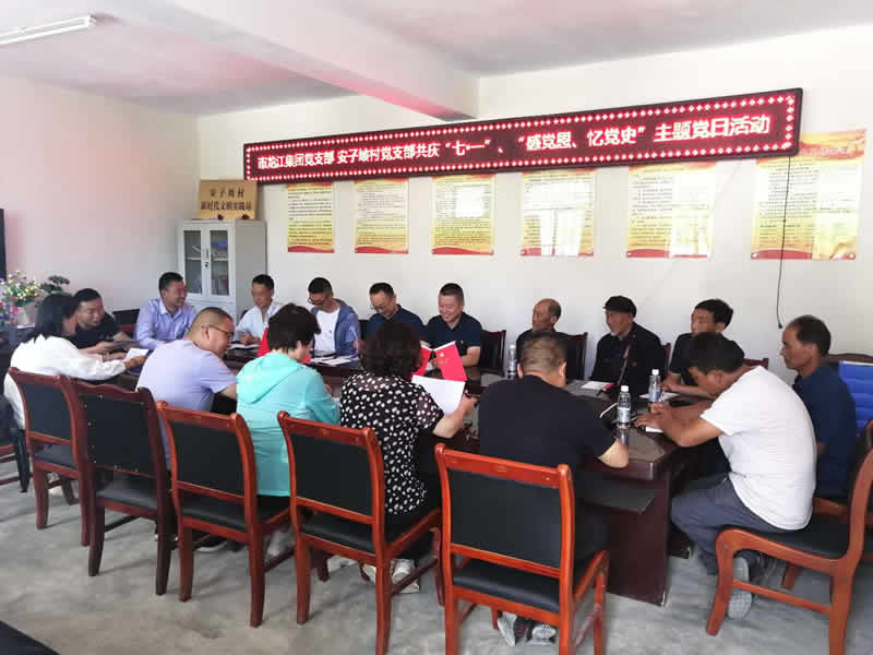 “感黨恩、憶黨史”，--市龍江城鄉(xiāng)發(fā)展集團公司開展慶祝建黨99周年主題黨日活動