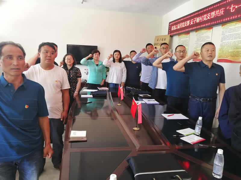 “感黨恩、憶黨史”，--市龍江城鄉(xiāng)發(fā)展集團公司開展慶祝建黨99周年主題黨日活動