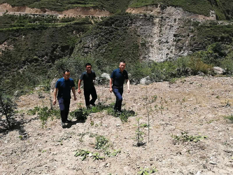 “感黨恩、憶黨史”，--市龍江城鄉(xiāng)發(fā)展集團公司開展慶祝建黨99周年主題黨日活動