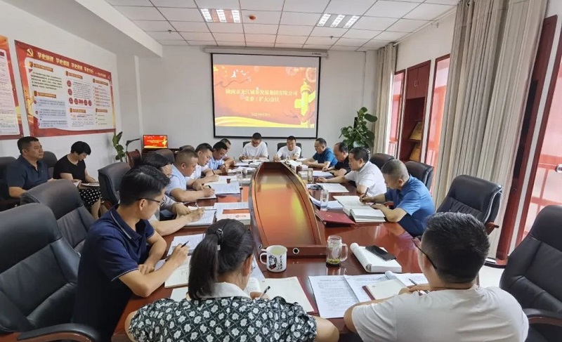 市龍江集團(tuán)召開(kāi)黨委(擴(kuò)大)會(huì)議